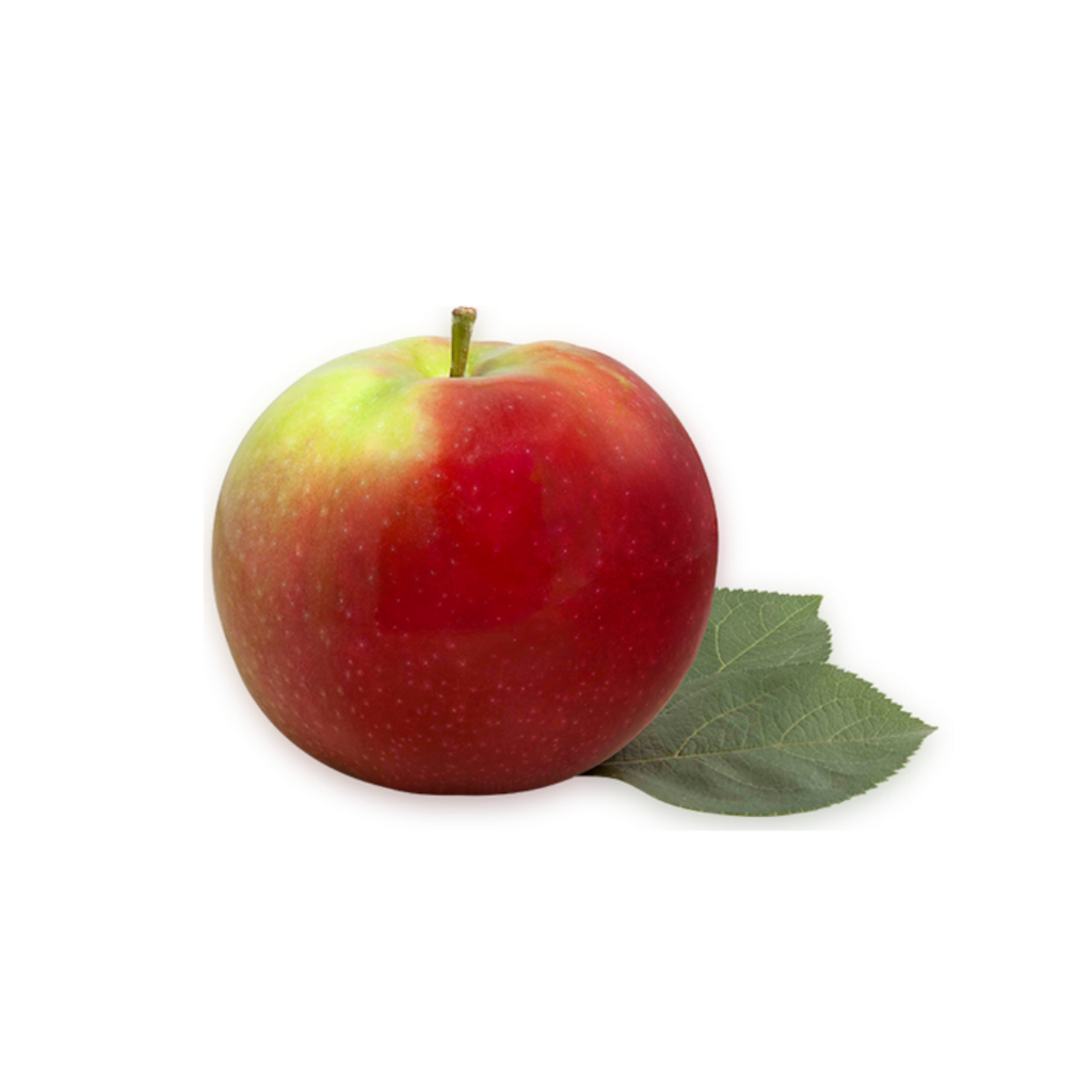 Pomme rouge Mcintosh
