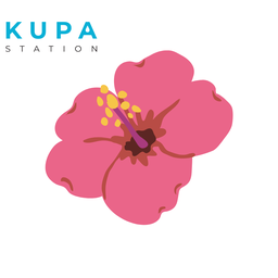 Kupa Station | Hibiscus